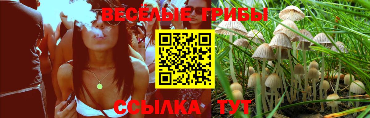 Узловая  Галлюциногенные грибы мицелий  Вход с VPN 