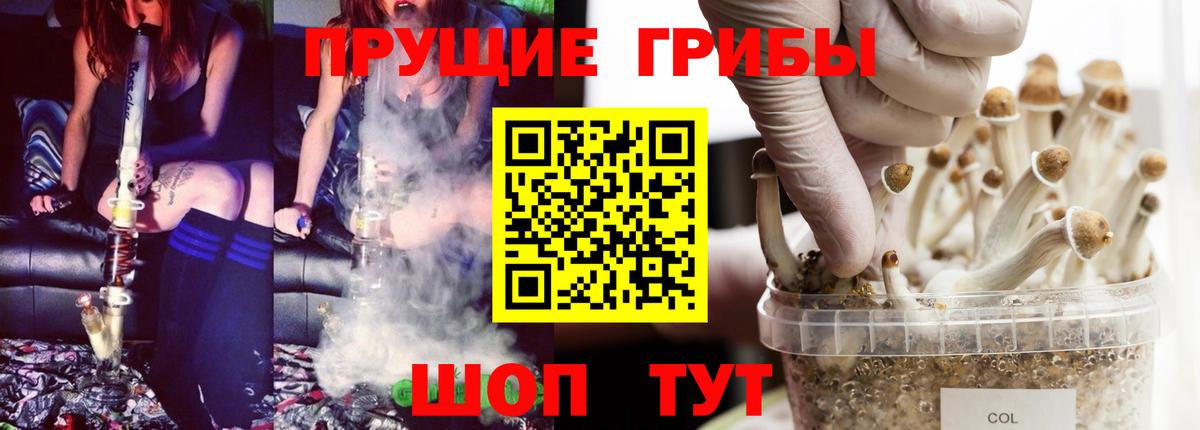 Галлюциногенные грибы прущие грибы Узловая